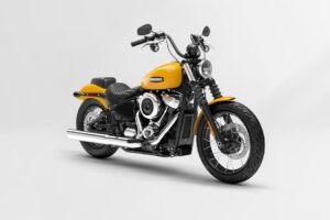 Harley-Davidson Softail and Sportster Models