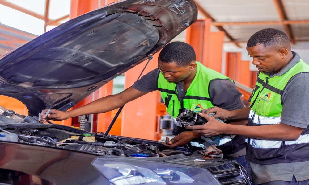 The Strange Way Wildlife in Amelia Can Damage Vehicle Wiring